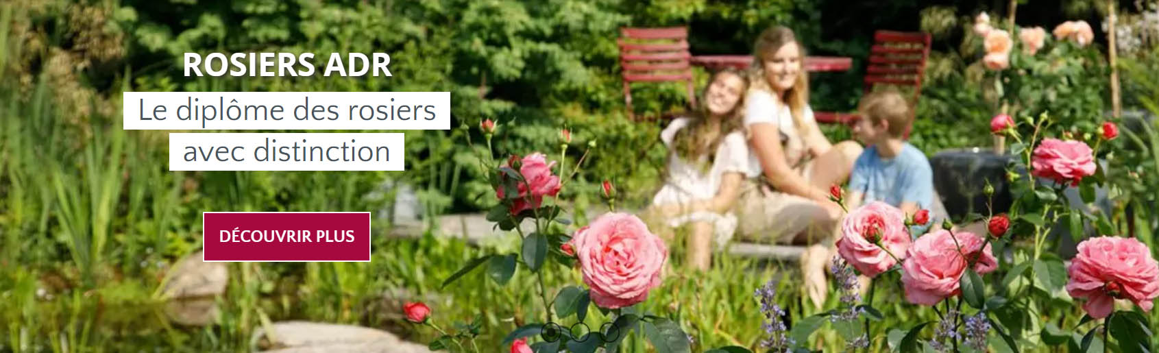 Plantes Séries Magasin -Plantes Séries Magasin gjghj